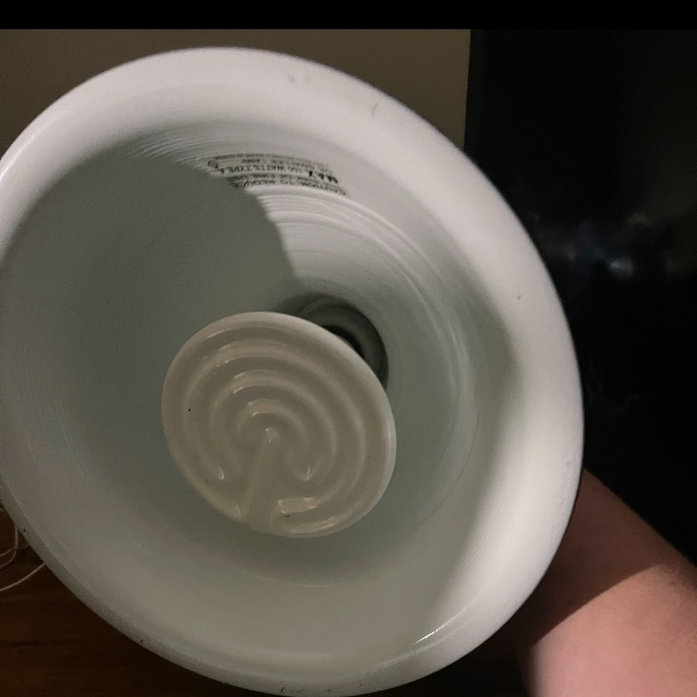 Reptile heat lamp with bulb